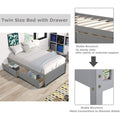 Wood Platform Bed Frame with Storage, Twin Size Bed Frame for Girls Boys, SEGMART Classic Twin Bed Frame with Drawers/Wood Slat Support, Kids Twin Bed Frame No Box Spring Needed, Grey, H696