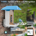 SEGMART Smart Bird Feeder with Camera, Solar Powered Bird Feeder Camera with AI Identify Bird Species - 11,000+ Birds, 1080P HD Camera Auto Capture Bird Video, App Notify When Birds Detected