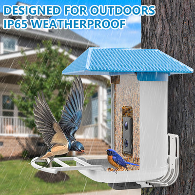 Bird Feeder with Camera, Smart Bird Feeder with Camera Solar Powered, AI Identify Bird Species Auto Capture Bird Videos & Instant Notifications, IP65 Weatherproof, Ideal Gift for Bird Lover