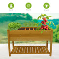 SEGMART Raised Garden Bed with Storage Shelf, Large Raised Planter Box with Legs, Elevated Garden Bed for Vegetables for Backyard, Patio, Balcony w/Bed Liner, 48.5x24.4x30in