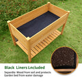 SEGMART Raised Garden Bed with Storage Shelf, Large Raised Planter Box with Legs, Elevated Garden Bed for Vegetables for Backyard, Patio, Balcony w/Bed Liner, 48.5x24.4x30in