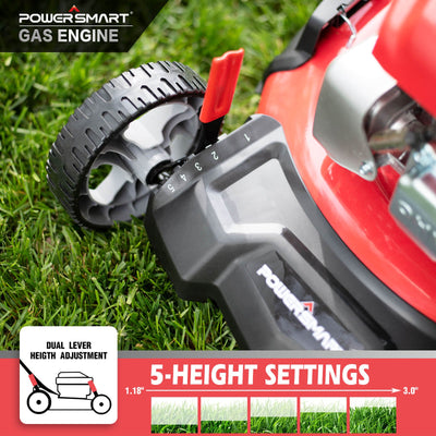Gas Lawn Mowers, 3-in-1 Gas Powered Push Lawn Mower for Lawn - 21 Inch, 209CC 4-Stroke Engine, Walk-behind Gas Lawn Mower with Rear Bag, 5 Adjustable Cutting Heights, Oil Included