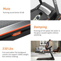 Treadmill with Incline, Folding Electric Treadmill for Home, Electric Motorized Running Machine with Display and Cup Holder, Jogging Exercise Equipment with 12 Preset Programs, LLL2340
