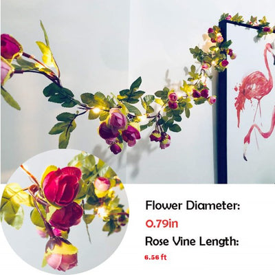 SEGMART 6.56ft Fairy String Lights Room Decor